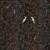 Фрески Affresco Atmosphere AF505-COL1