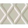 Обои Cole & Son New Contemporary Collection 66/3021